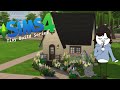 I try to build a tiny home with only base game & romantic garden stuff - Ep 4