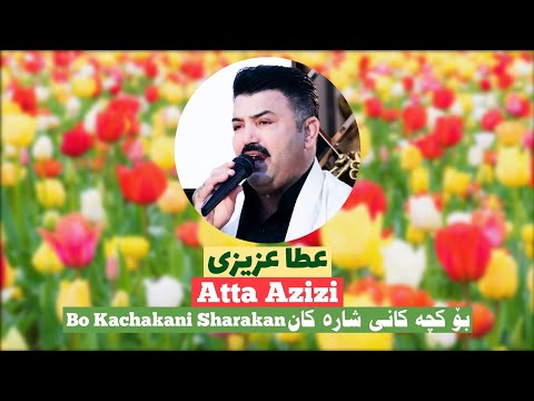     عطا عزیزی بو کچه کانی شاره کان       