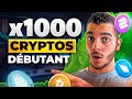 Comment faire x1000 avec des crypto inconnu  guide crypto ppites dbutant 2024