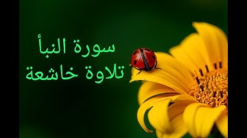 سورة النبأ تلاوة خاشعة جدا بصوت رائع HD - Surat An-Naba