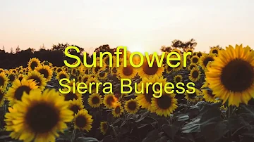 Sunflower- Sierra Burgess (Sierra Burgess Is A Loser) Lyrics