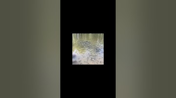 Understanding fish population dynamics- you never see these facts on TV