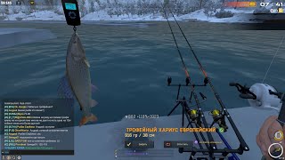 Fisher Online ЗИМНЯЯ СКАЗКА ХАРИУС ЕВРОПЕЙСКИЙ ИЗ ЛУНКИ