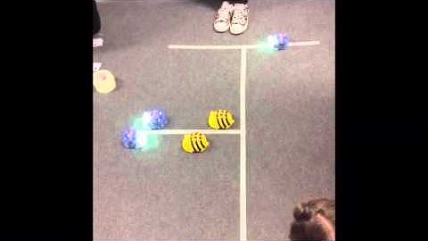 Beebots in Computing