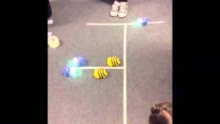 Beebots in Computing