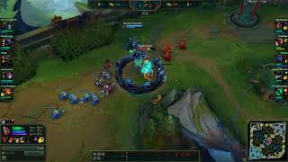 Yorick W bug