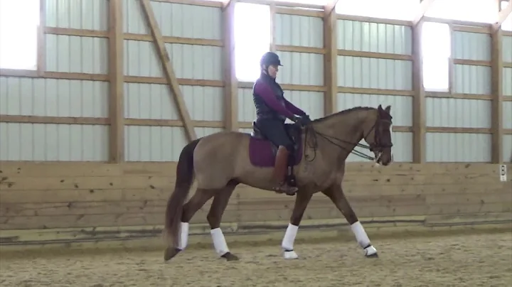 ELVIS training with Allison Brock Jan 2020