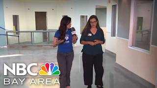 Clear the Shelters: Construction of New Humane Society of SV building underway