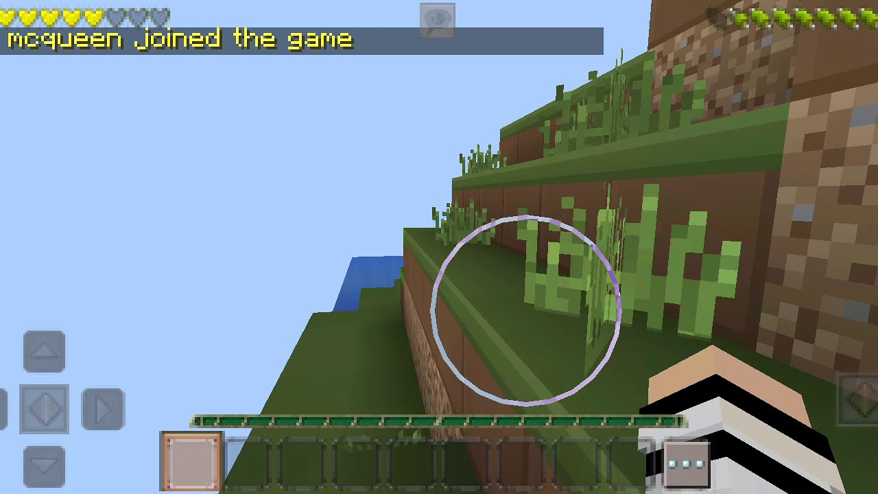 Play with friend in mastercraft