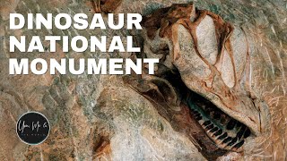 1,500 Bones Encased in Quarry Rock Wall, The Real Jurassic Park! Dinosaur National Monument