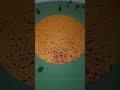 minecraft tnt rate 💀1 to 10 #minecraft #tnt #viral #shortsfeed #shortvideo #foryou #shorts #trending