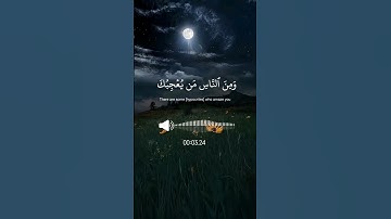 القران الكريم| ومن الناس من يعجبك قوله سورة البقرة |محمد صديق المنشاوي #اكسبلور #المصحف #لايك #طبيعة