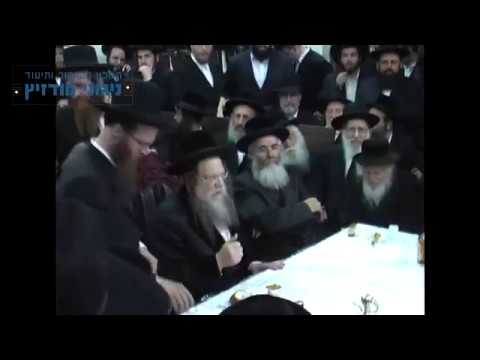 טיש מודז'יץ - ריקוד שבועות לכ"ק אדמו"ר ה"נחלת דן" זצוק"ל ממודז'יץ