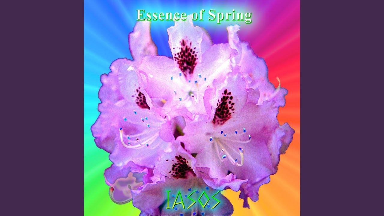 Spring Temple Forest auf YouTube ansehen Spring Temple Forest auf YouTube ansehen