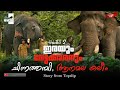 ഇരയും വേട്ടക്കാരനും... Anamala Kaleem | Chinnathambi | Topslip Elephant Camp | Kumki 2