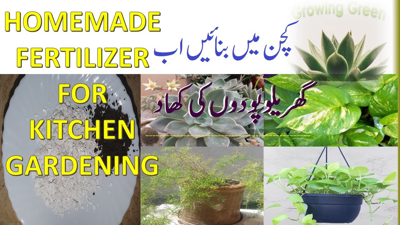 easiest-way-to-make-organic-fertilizer-at-home-from-kitchen-waste