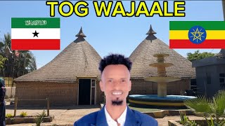Download Lagu WAXAAN SAFAR KU TAGAY MAGALADA TOG WAJAALE MP3