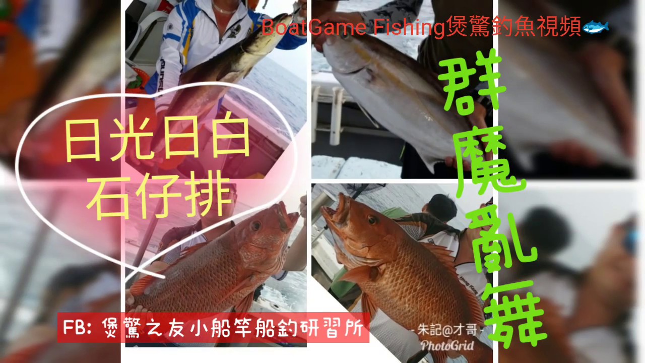 香港釣魚-船釣新手:日光日白石仔排群魔亂舞之釣雞釣著10斤大紅鮋- 魚樂TV - HK-Fish.com 香港釣魚網