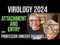 Virology lectures 2024 5 attachment and entry