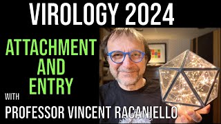 Virology Lectures 2024 #5: Attachment and Entry