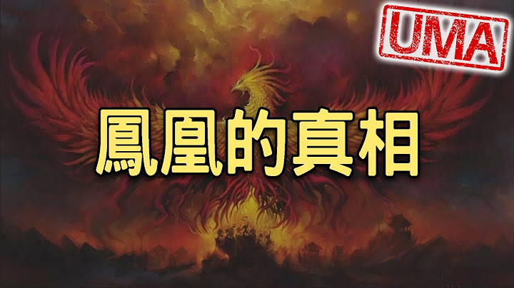 【UMA檔案】鳳凰的真相：傳說中的鳳凰可能真實存在過，黑龍江目擊事件/鳳凰與不死鳥間的關係。 - 天天要聞