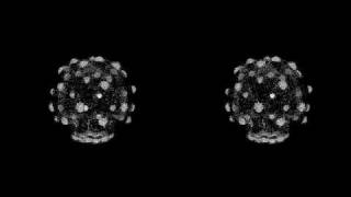 Another ImageVis3D + yt3d test