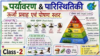 Environment & Ecology ( Class -2 ) | ऊर्जा प्रवाह एवं पोषण स्तर | Food Chain & Web,Ecologica Pyramid