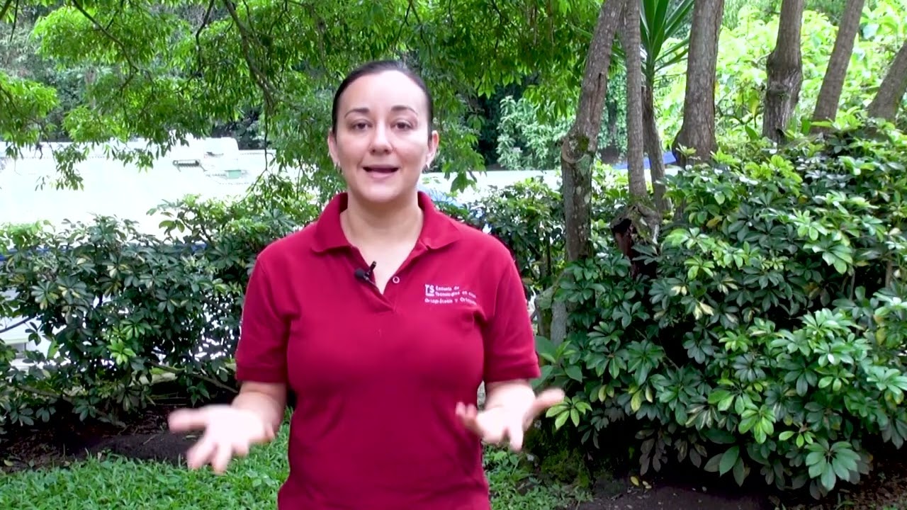 Ortoprótesis y ortopedia