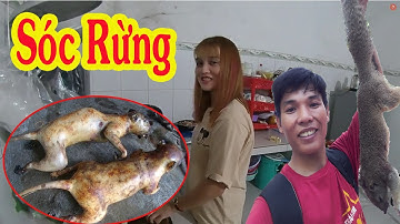 Thịt Sóc Rừng Xào Mướp - Hòa Nhôm Vlogs Gặp Lại Em Mèo BaBy