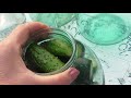 огурцы засолочные pickle cucumbers