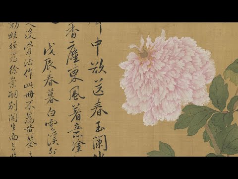 恽寿平 没骨花卉 花鸟画 清朝画家