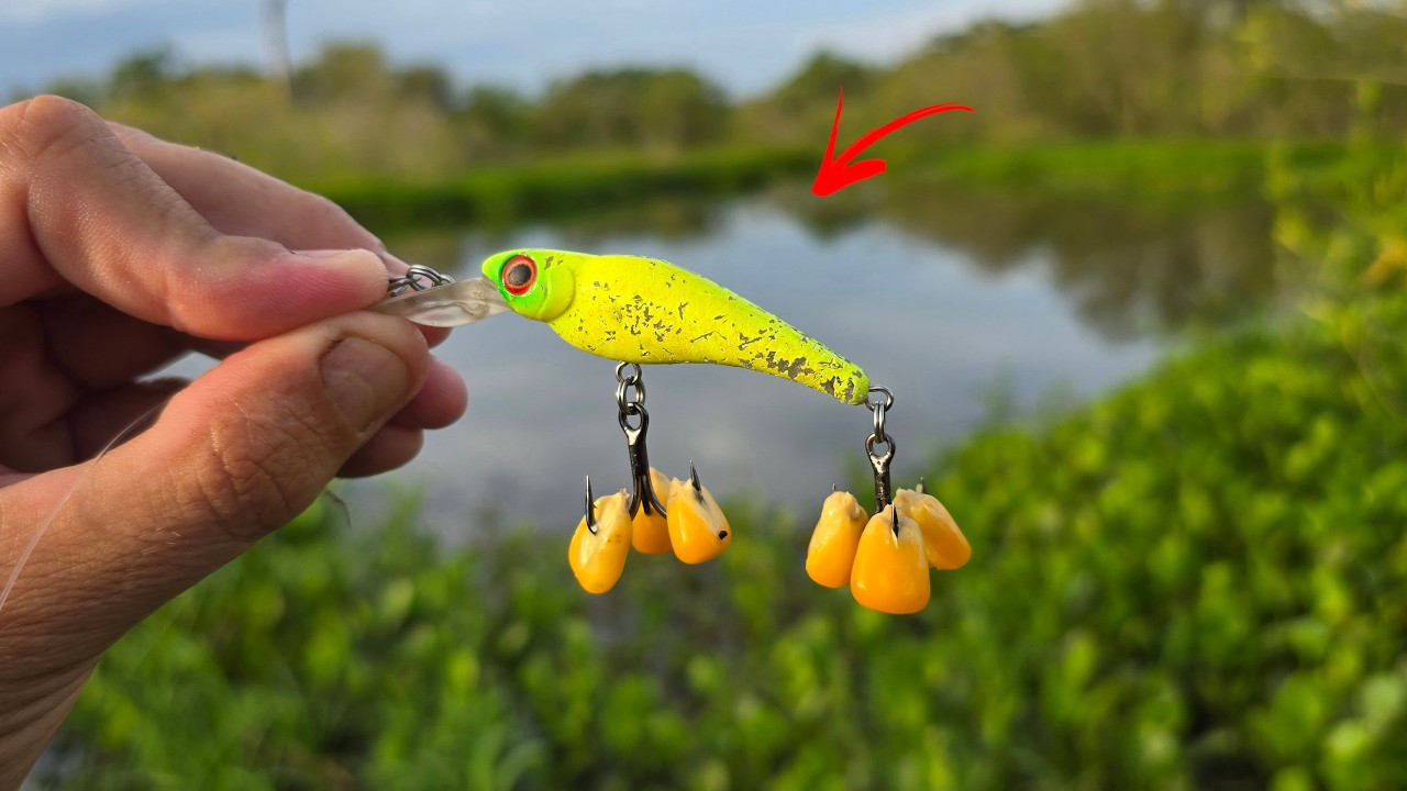 SE FOR PARA USAR ERRADO, PARA FAZER O MAL, NEM ASSITA ESSE VÍDEO... Pescaria.