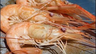 Freshwater shrimp catch and cook