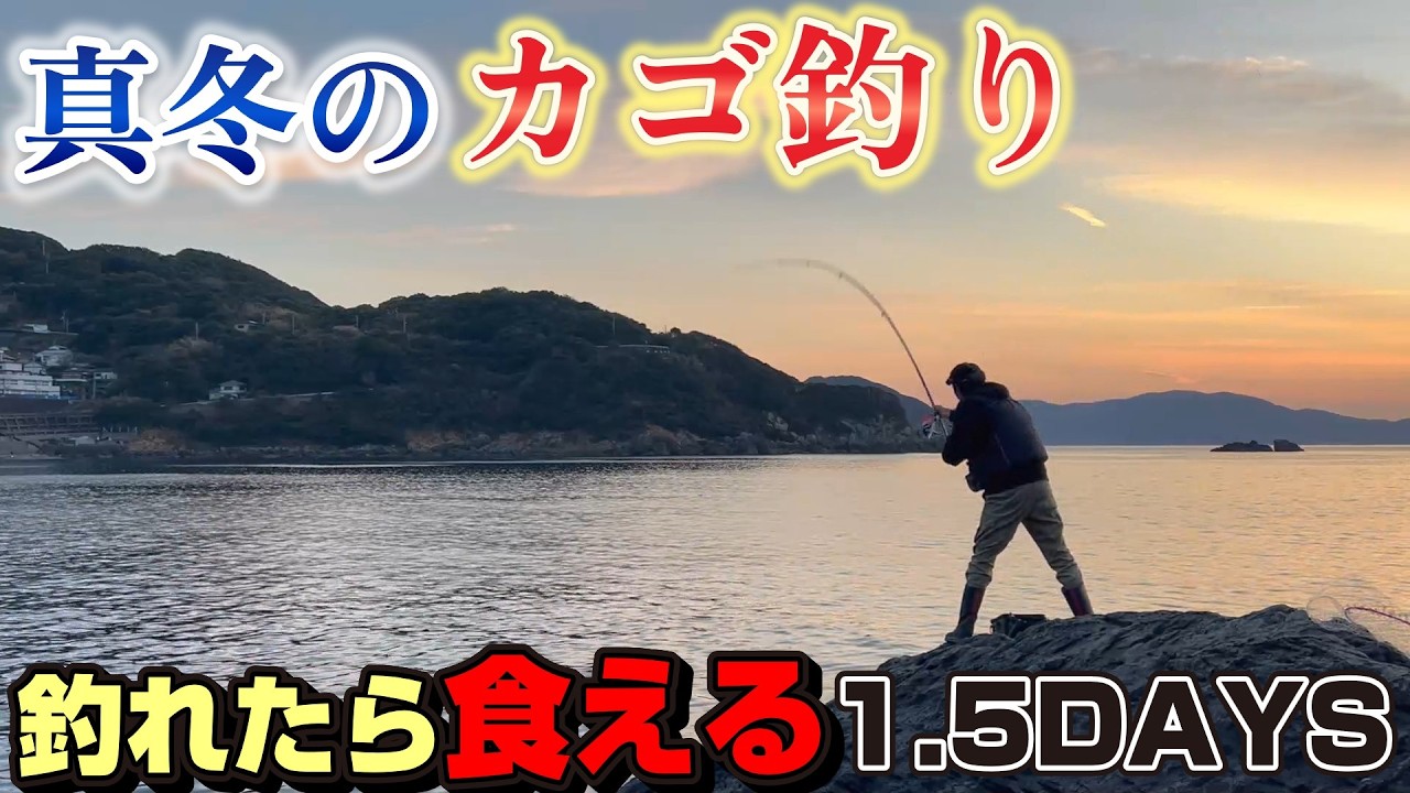 【釣りキャン】真冬のカゴ釣り☆釣らなきゃ食えない釣りキャンプ1.5DAYS【高知県西南部】