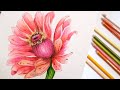 Realistic flower using wax color pencils