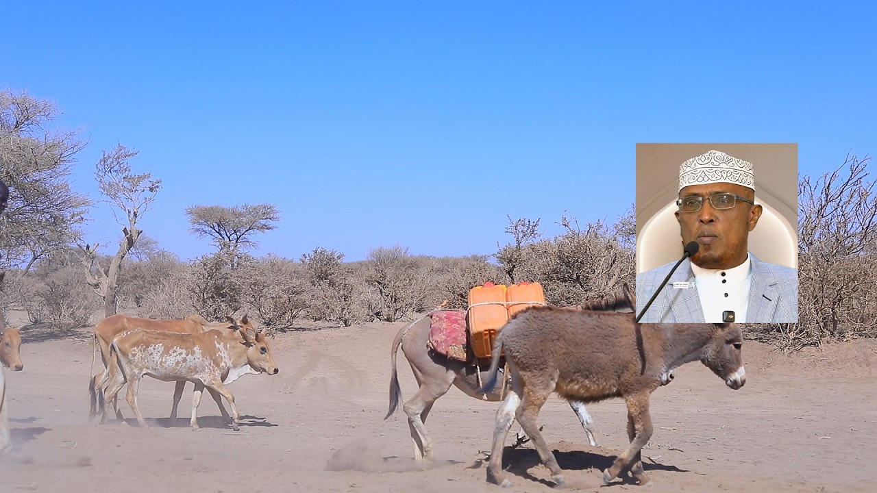 Abaar Daran Baajirta Maxaa Ina la Gudboon Wakhtigan