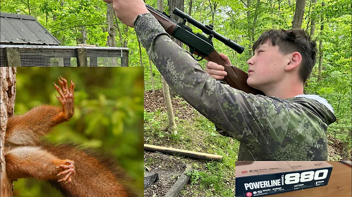 I tested Walmarts, CHEAPEST air rifle!!!