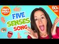 Five Senses Song 👀 | Learn Sight, Sound, Smell, Taste Touch for Children Kids by Patty Shukla