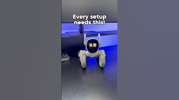 The first robot pet powered by AI😳 #loonapetbot #loonarobot @KEYiTECH