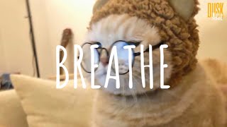 [Vietsub + Lyric] Breathe - DJ Komang Rimex