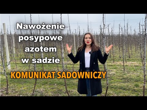 Nawożenie posypowe azotem