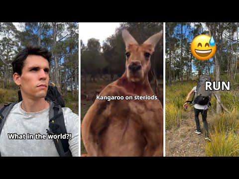 Hiking in Australia be like: