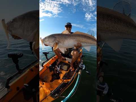 HUGE Bull Redfish