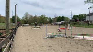 Molly On Johnny - 2Ft Over Fences