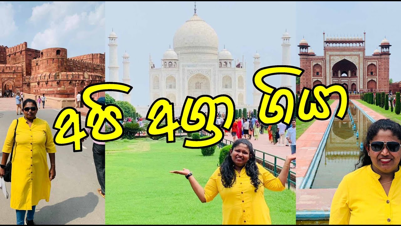 Tag Mahal | Agra Fort | India Tour Part II
