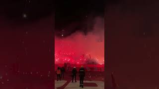 ZVEZDA - PARTIZAN! PYRO! DELIJE! #derby #pyro #zvezdapartizan #дневникфаната