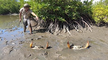 Lucky Day - I Found Many Huge Mud Crabs In Muddy after Water Low Tide
