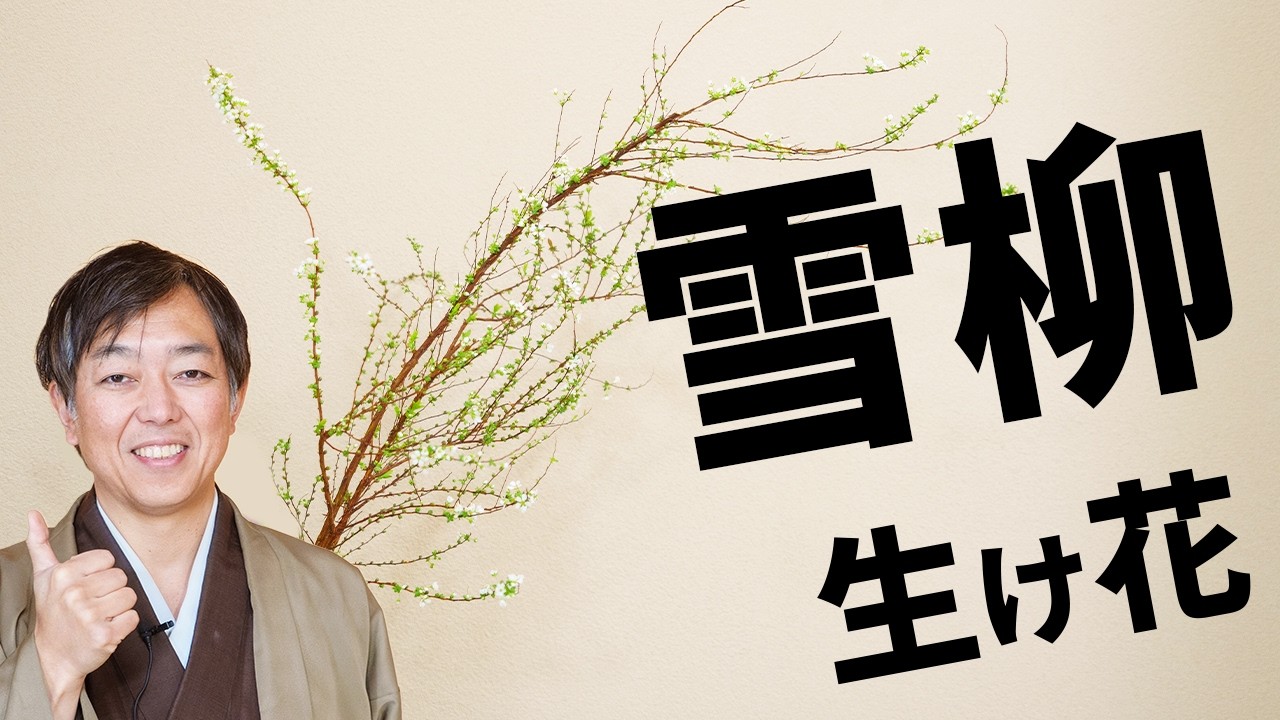 歴47年の華道家イチオシの生け花→雪柳