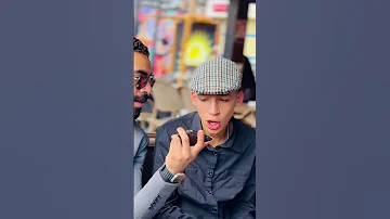 الكلب اللي طلع الهرم 