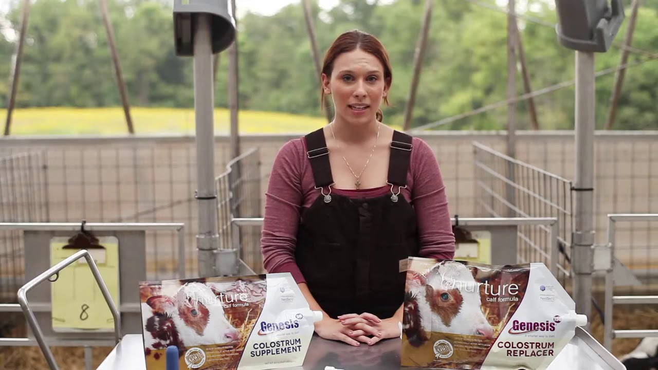 How to mix and feed Genesis® Colostrum using Perfect Udder®